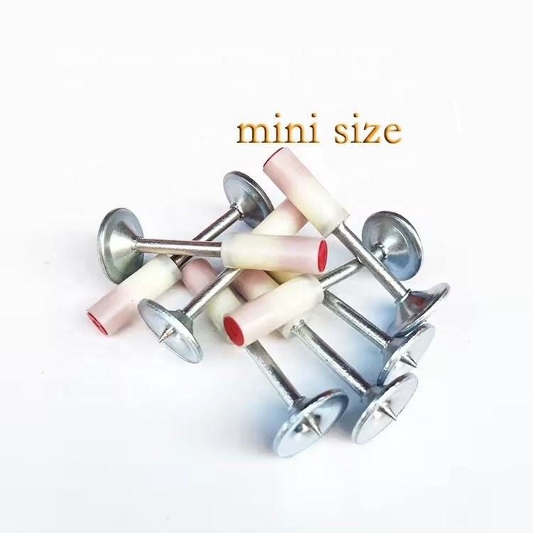 7.3mm Kopf 25mm Länge Mini Style Runde Nägel mit 16mm Metall Waschmaschine und Eisen